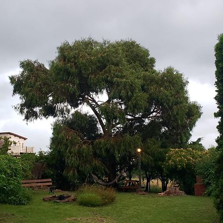Casa Bordo, B & B Tandil Eksteriør bilde